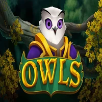 owls